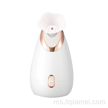 Nano Mist Spray Mini Spa Professional Face Humidifier